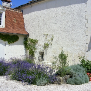 paysagiste Dordogne